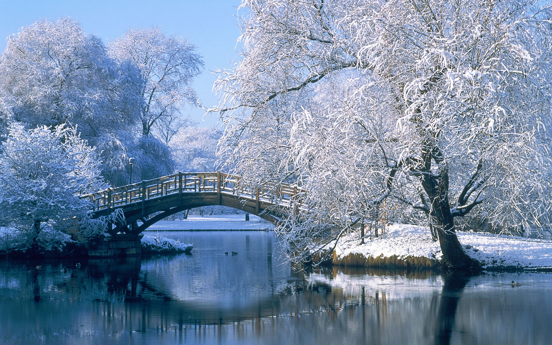 3361 Winter HD Wallpapers Backgrounds Wallpaper Abyss