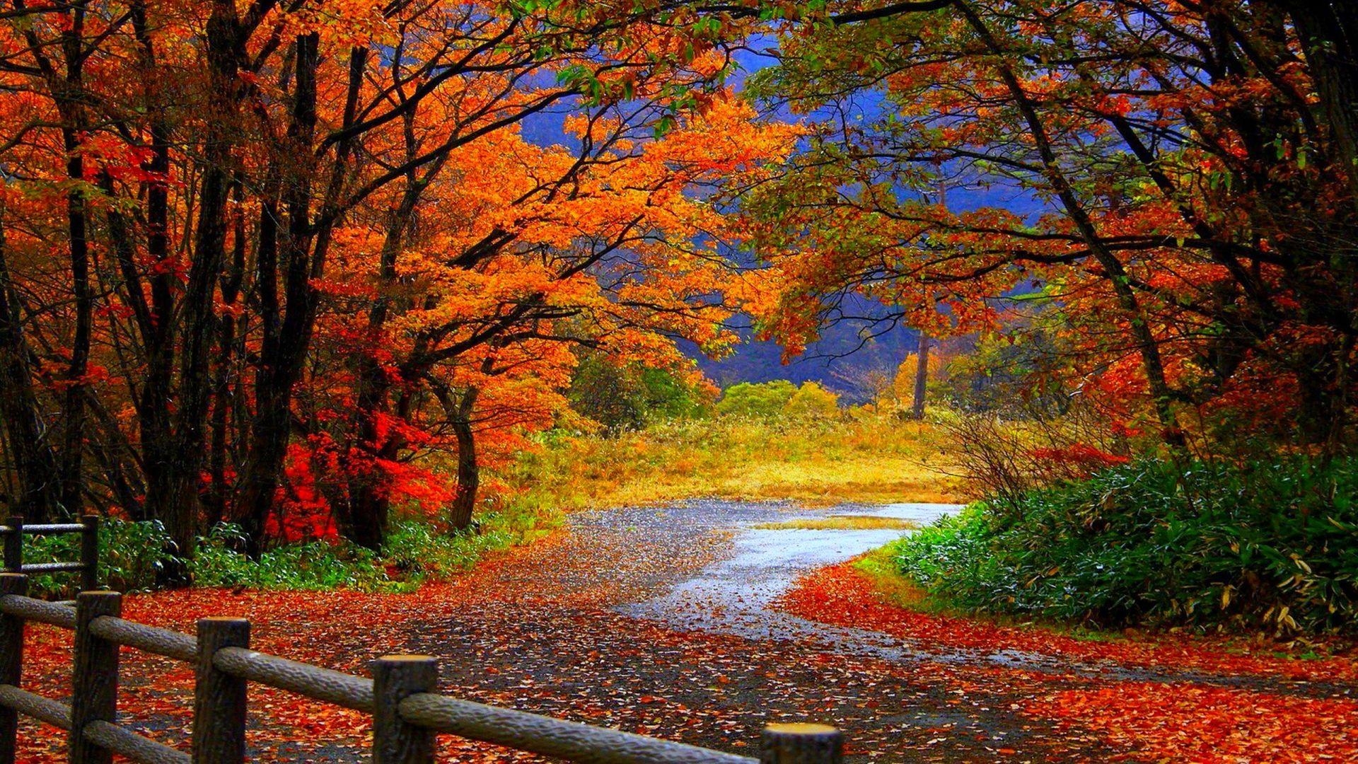 Autumn Season HD Wallpapers Wallpaper Cave
