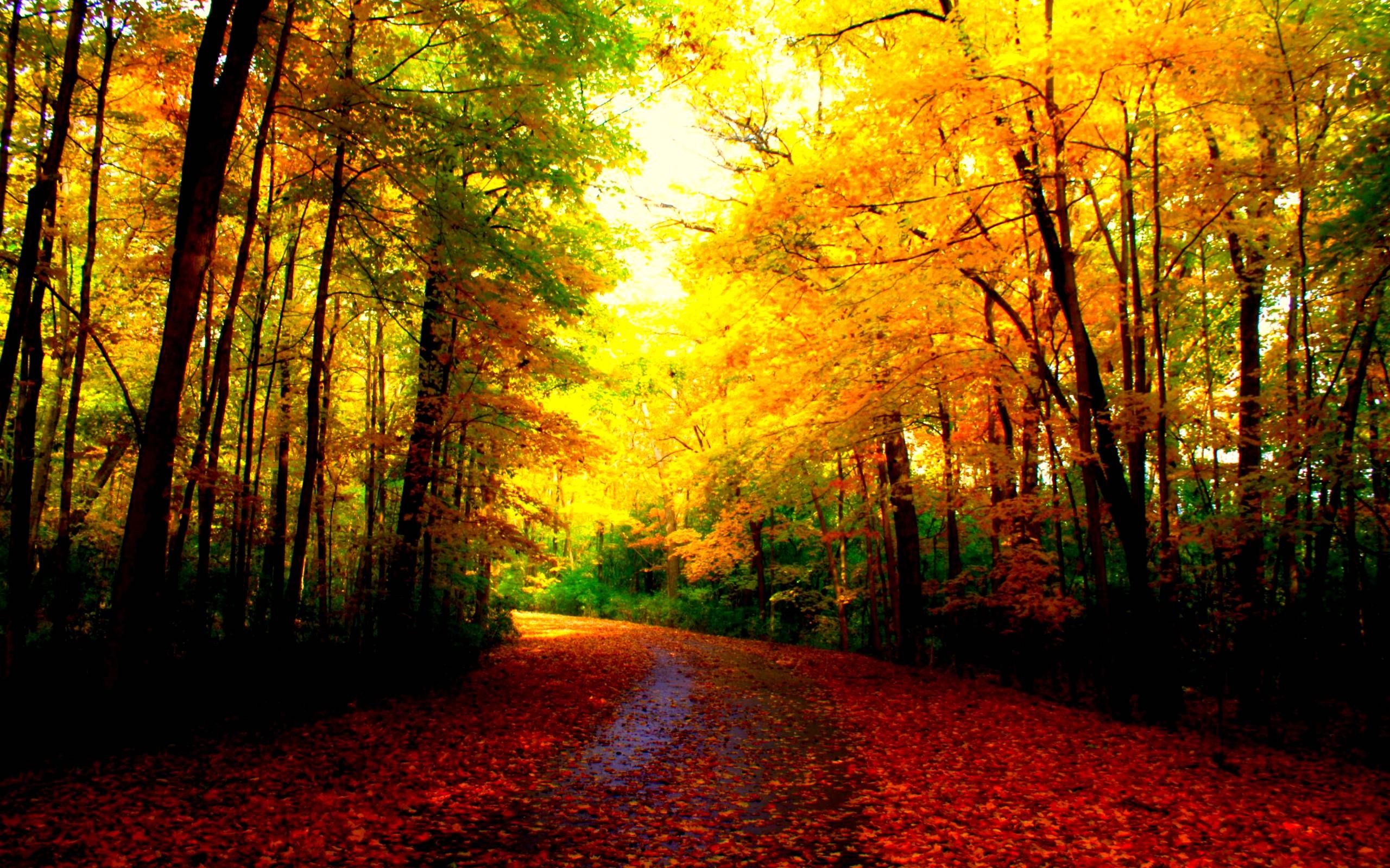 Beautiful Autumn Wallpapers Wallpaper Cave