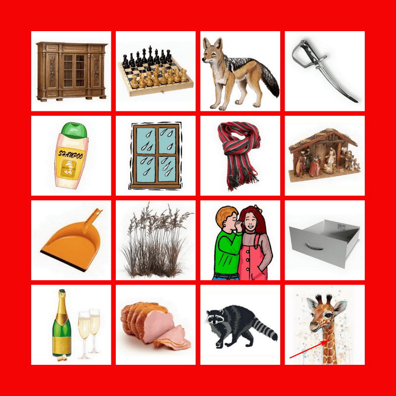 G oska sz N 1 Bingo Card