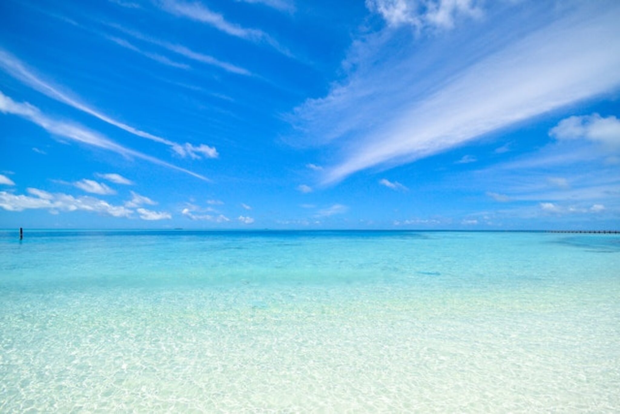 Powerful Symbols And Symbolism Of Summer