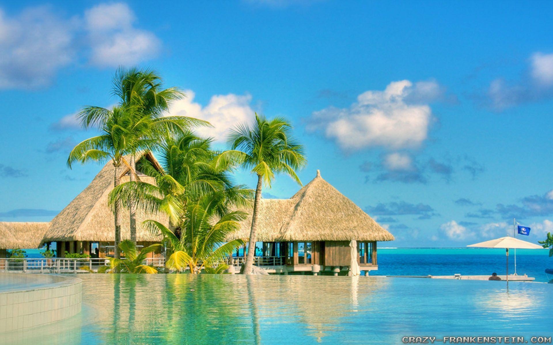Summer Wallpapers HD Wallpaper Cave