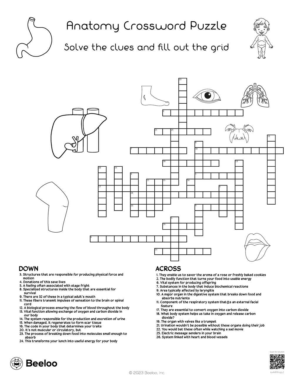 Anatomy Crossword Puzzle Beeloo Printable Crafts And Activities For Kids