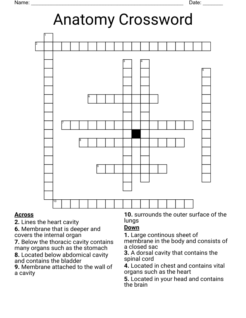 Anatomy Crossword WordMint