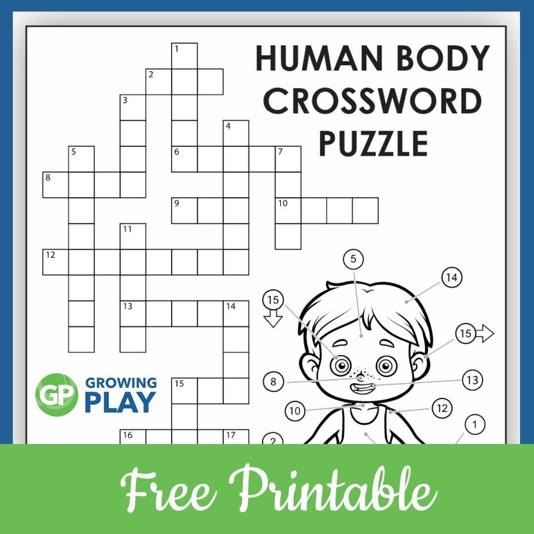Body Crossword Puzzle Free PDF Growing Play