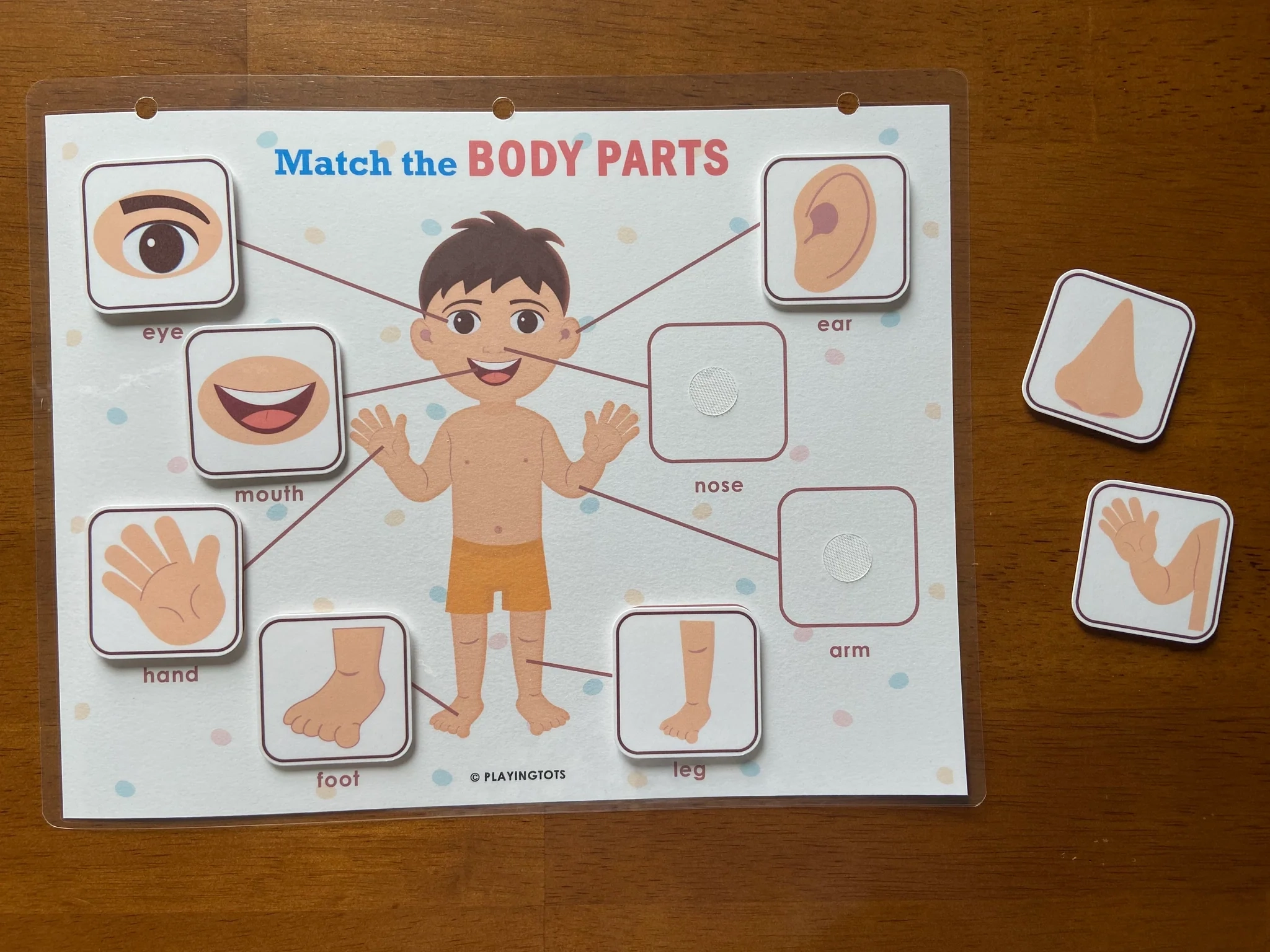 Body Parts Activity Pages Playingtots