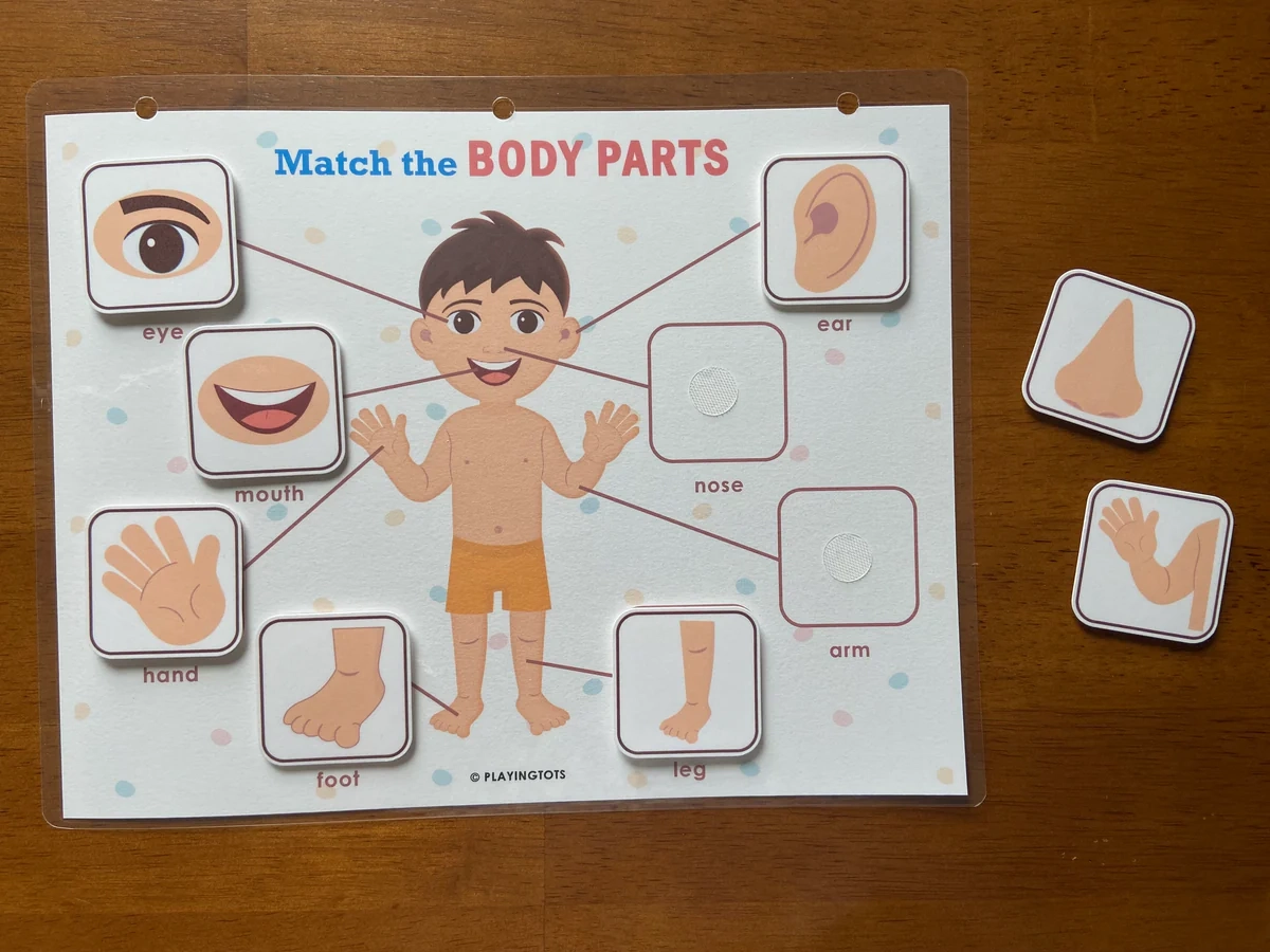 Body Parts Activity Pages Playingtots
