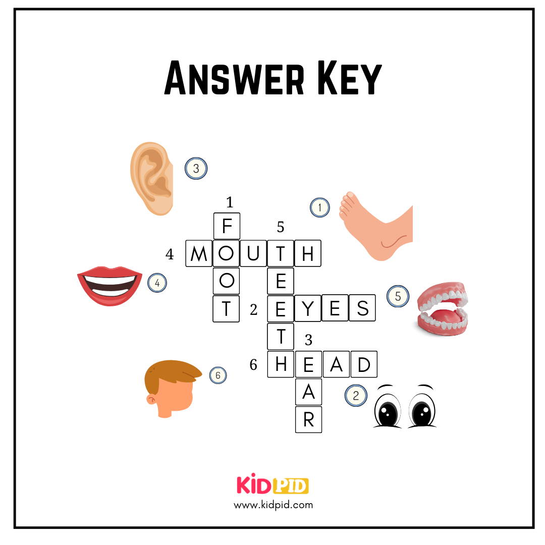 Body Parts Crosswords Worksheet For Grade 1 Kidpid