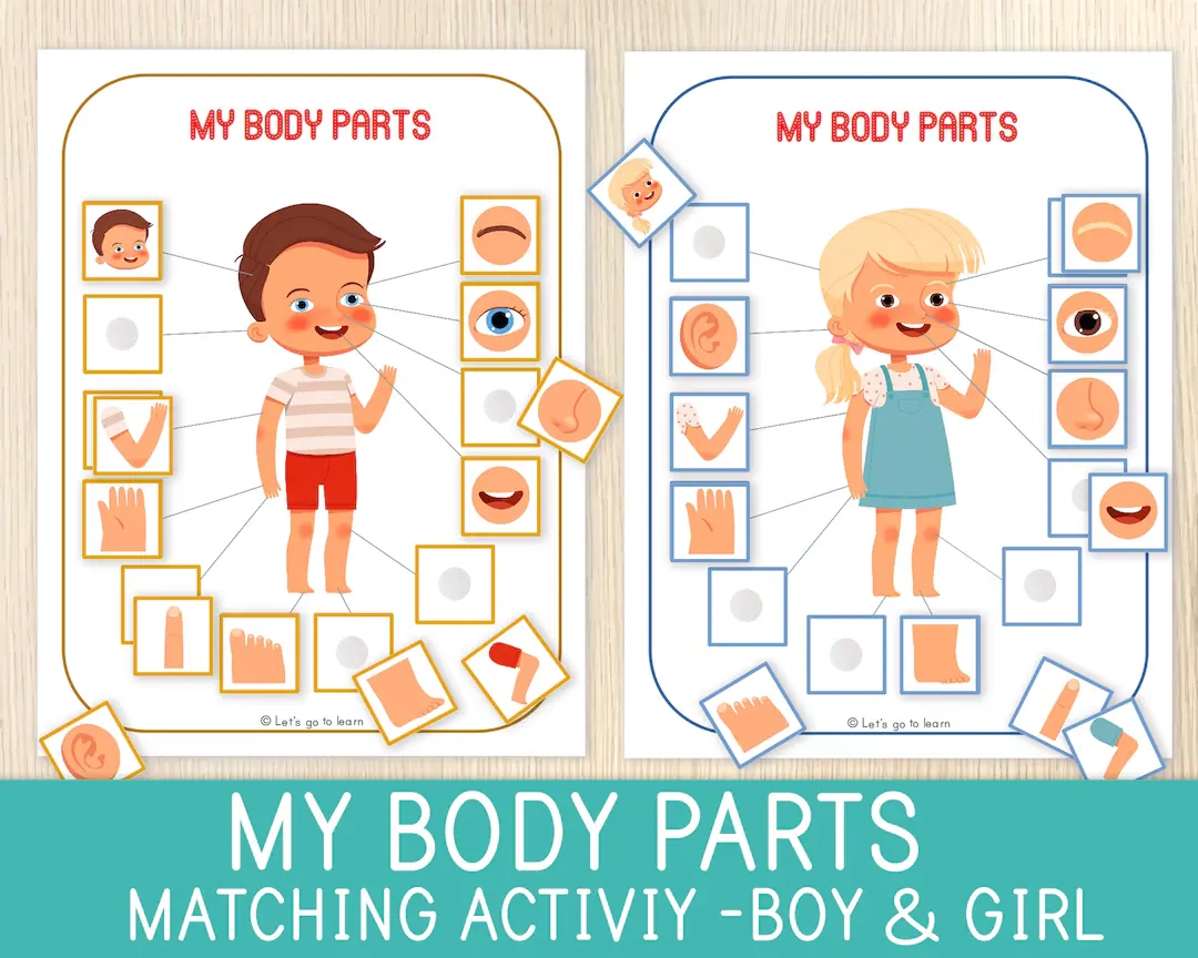 Body Parts Matching Activity Human Body Game Toddler Preschool Worksheets For Kids Busy Book Pages Homeschool Educational Game Etsy