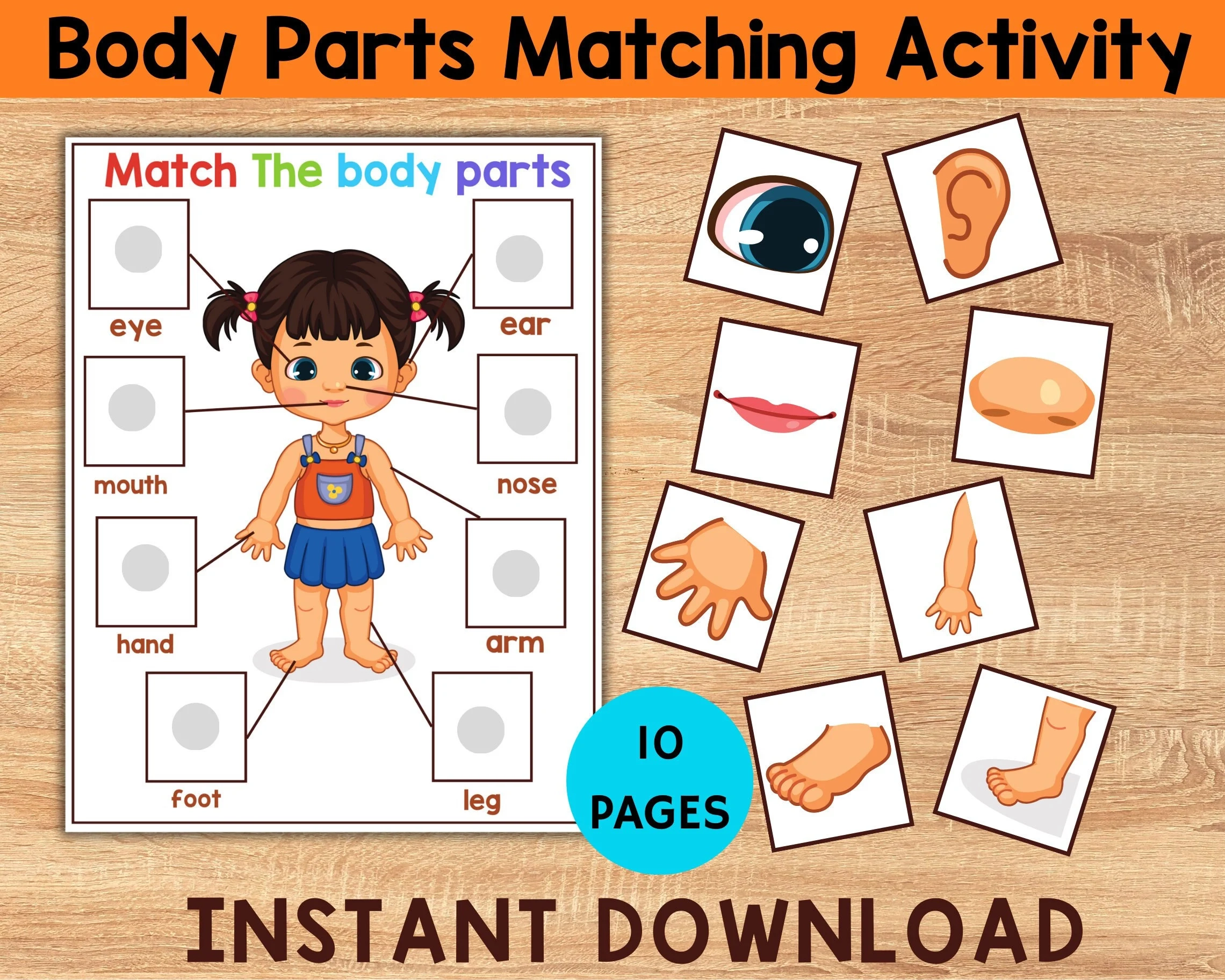 Body Parts Matching Game Bundle Activity Printable Toddler Busy Book Pages Learning Binder Homeschool Resource Part Kid Body Anatomy Etsy Israel
