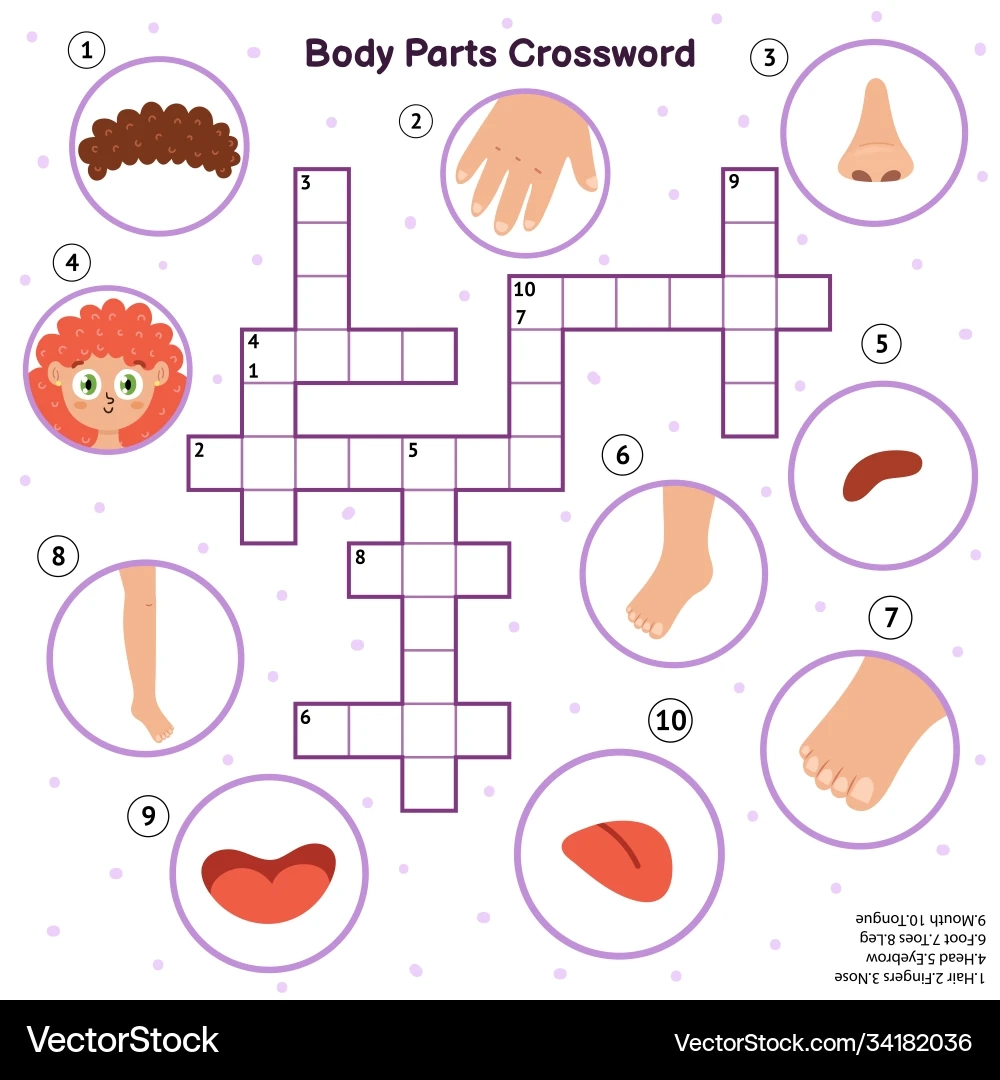 Body Parts Puzzle For Kids Royalty Free Vector VectorStock