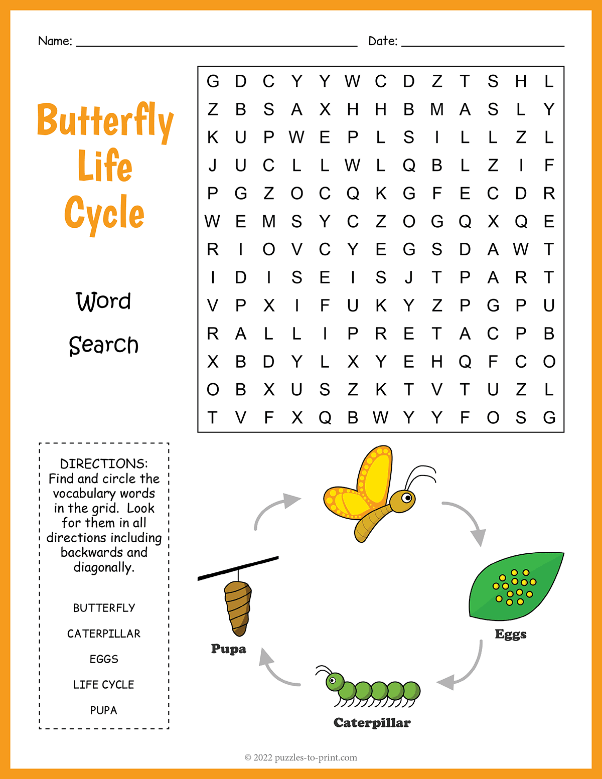 Butterfly Life Cycle Word Search