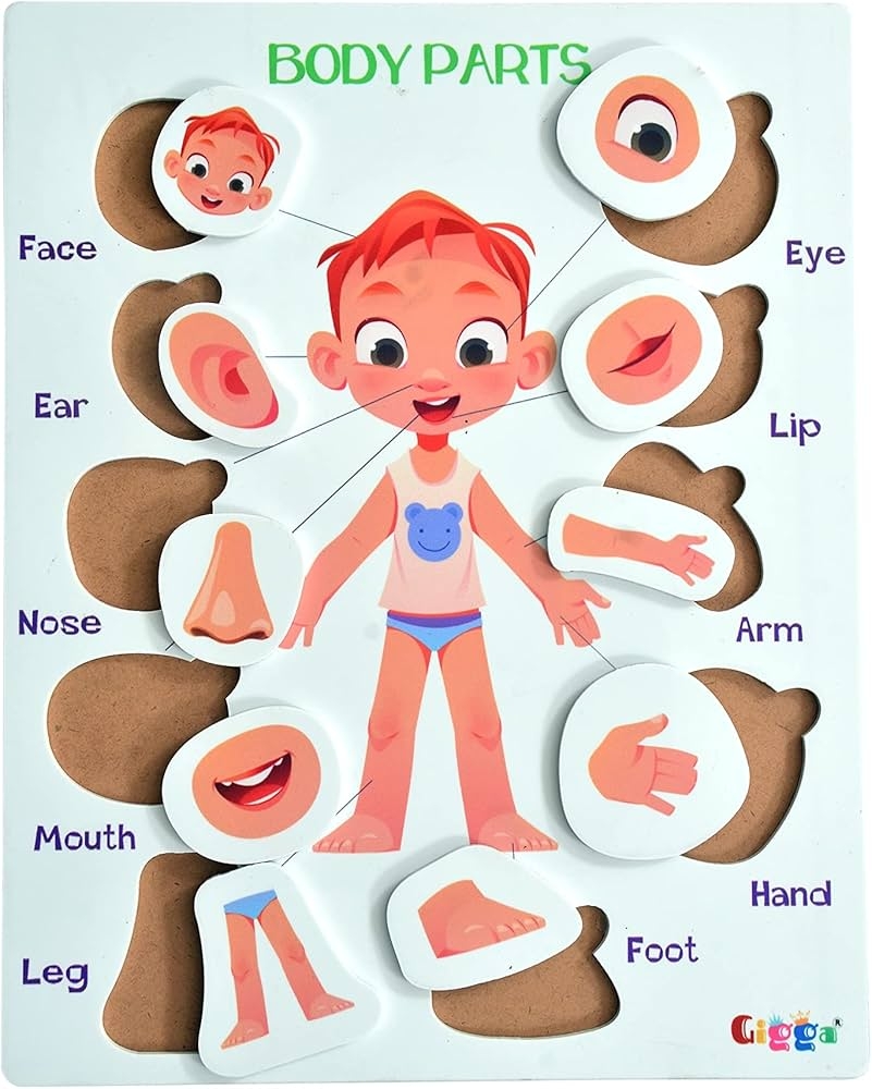 Buy GIGGA Body Parts Jigsaw Puzzle Body Part Picture With Words Educational Toy And Learning Aid For Boys And Girls Educational Learning Games For Kids Age 2 Years Above