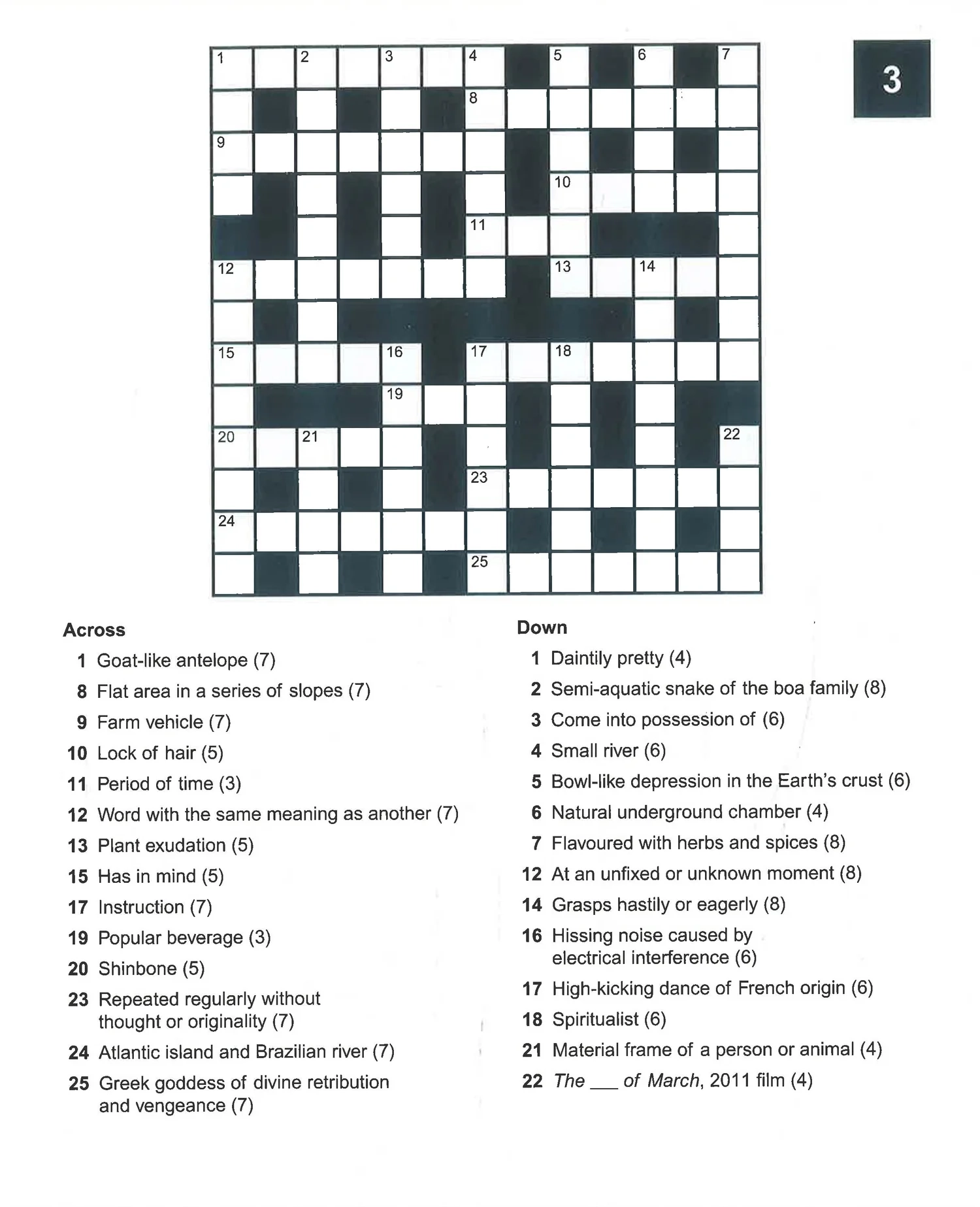 Crossword Large Print BookXcess