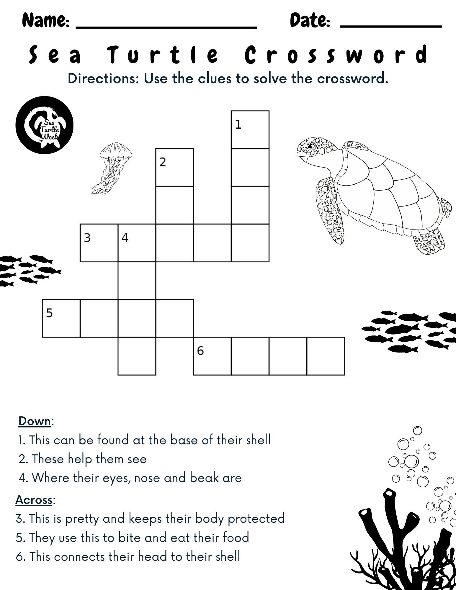 Crossword Puzzle SeaTurtleWeek