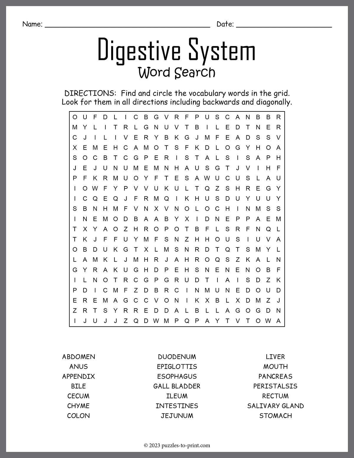 Digestive System Word Search