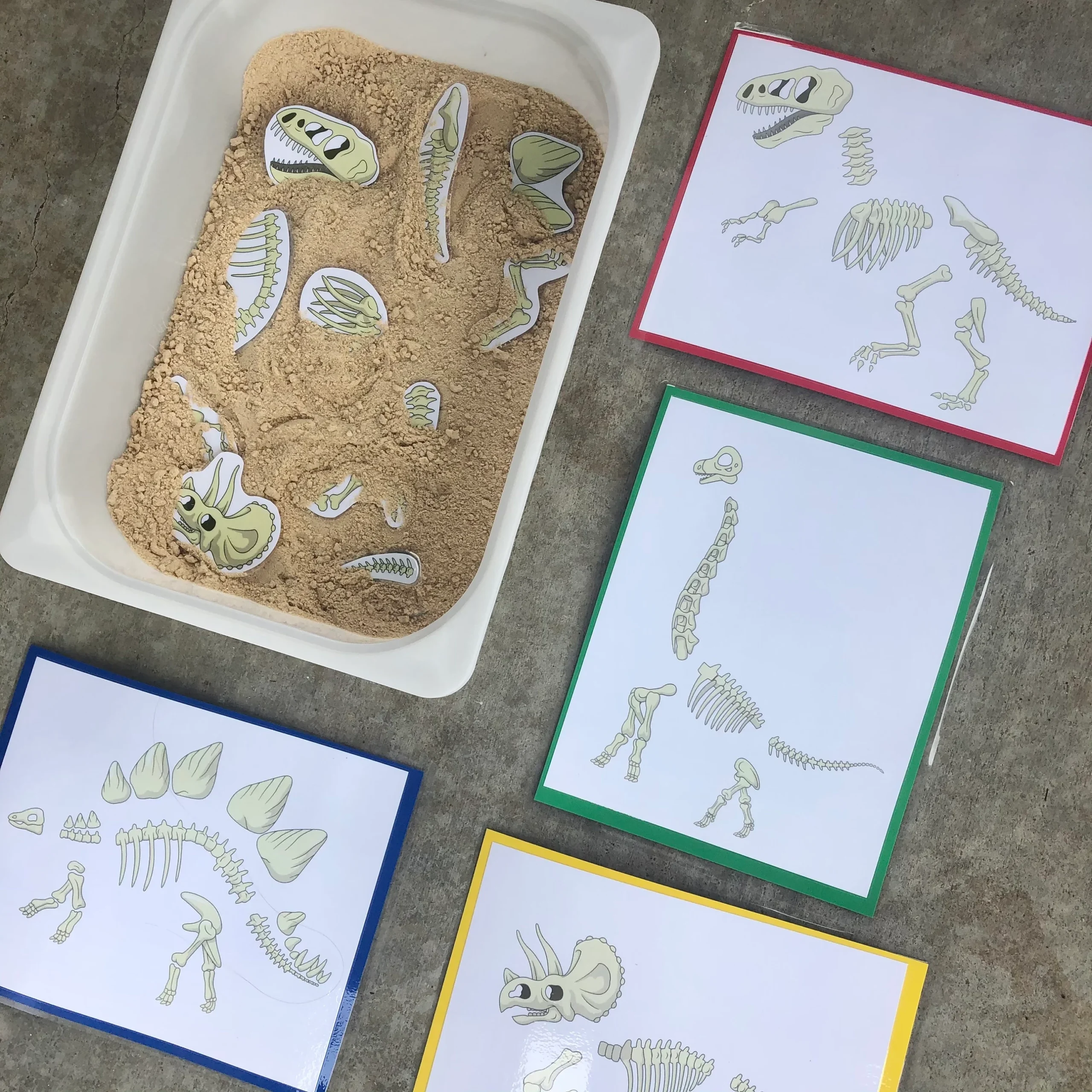 Dinosaur Bones Fossil Match Toddler Child Activity DIY Printable PDF File With Activity Guide Etsy