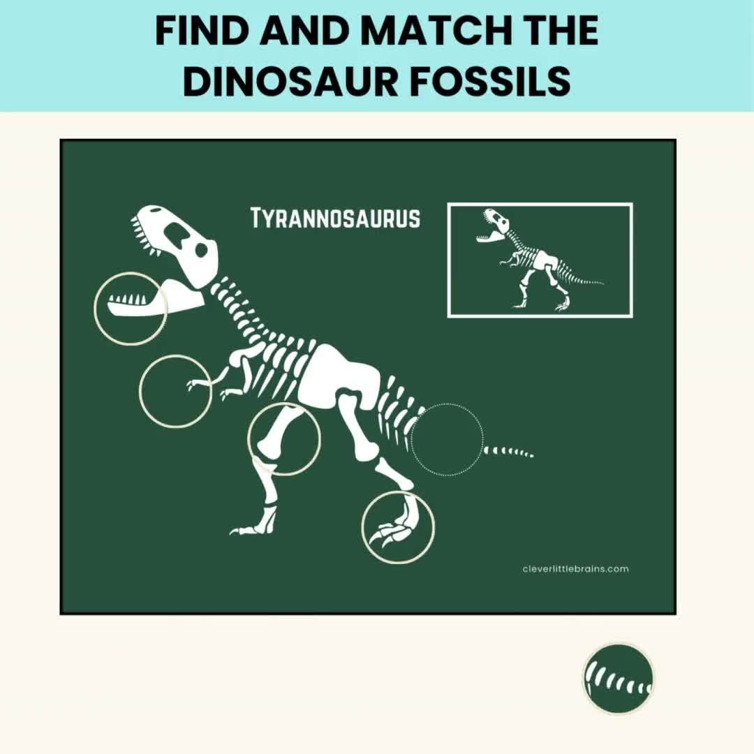Dinosaur Fossil Matching Activity Printable Montessori Dinosaur Skeleton Puzzle For Preschool Kids PDF Printables Etsy Israel