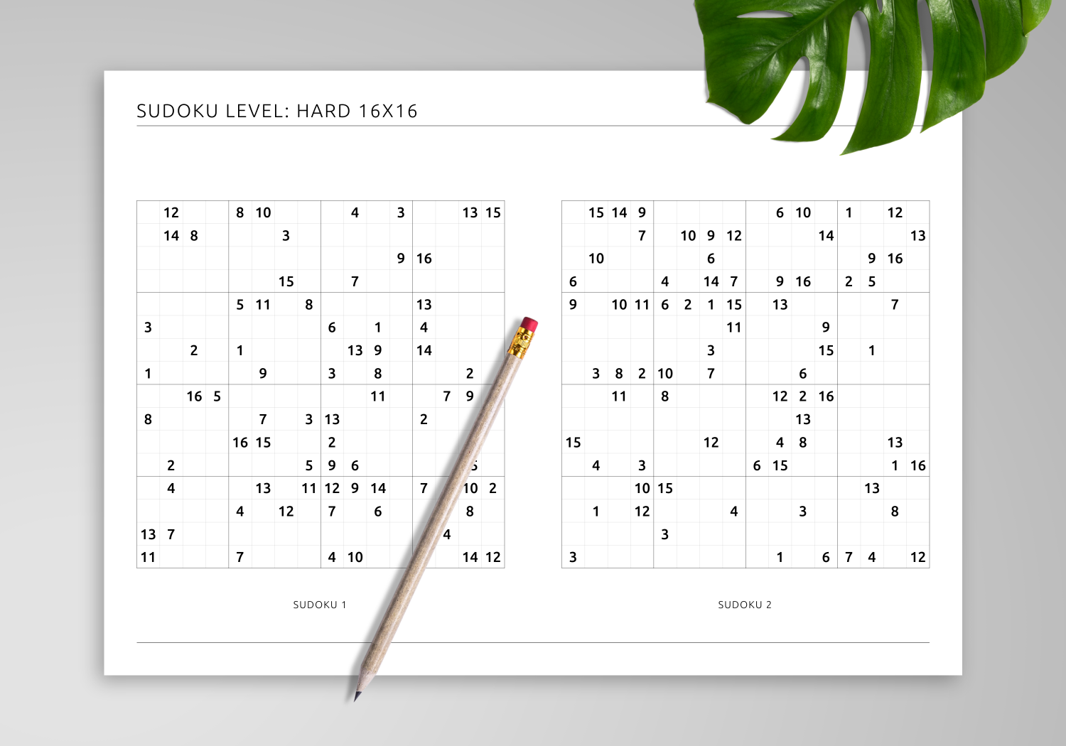 Download Printable 16x16 Hard Sudoku Horizontal 2 On Page PDF