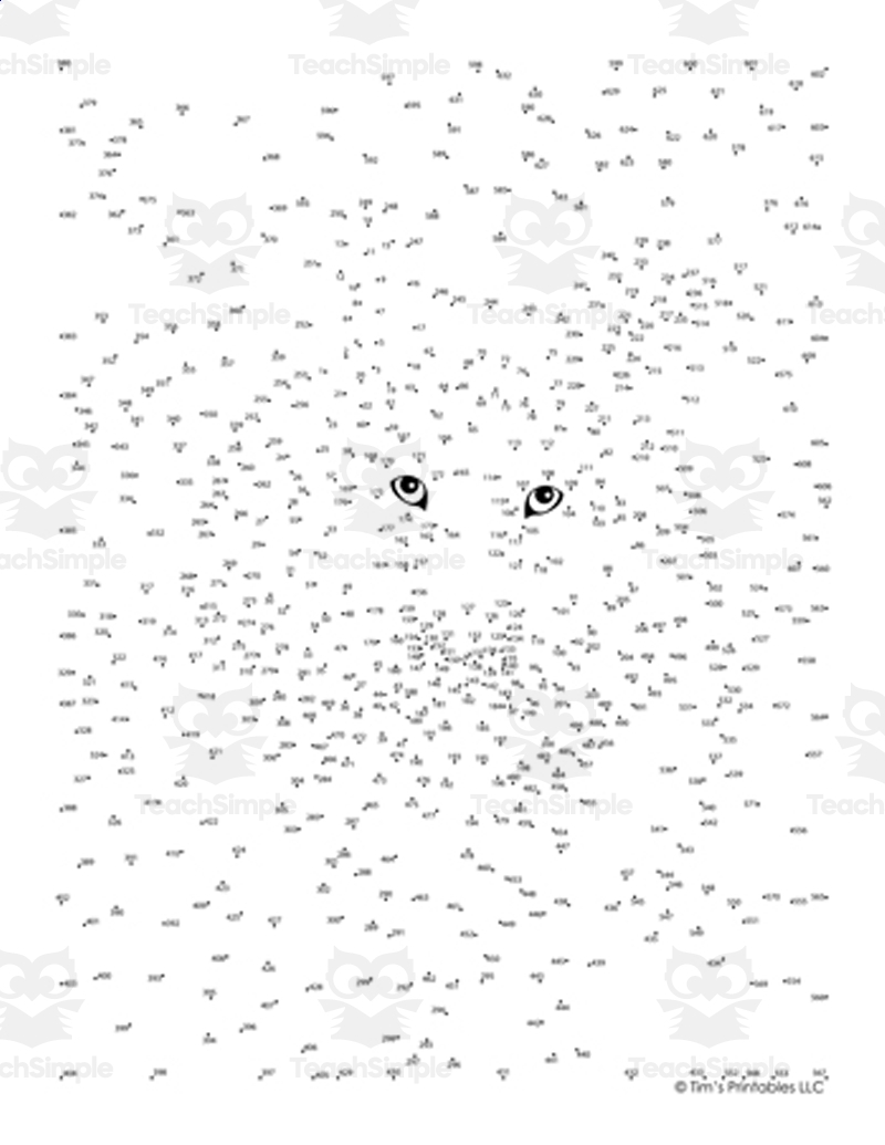 Extreme Dot To Dot