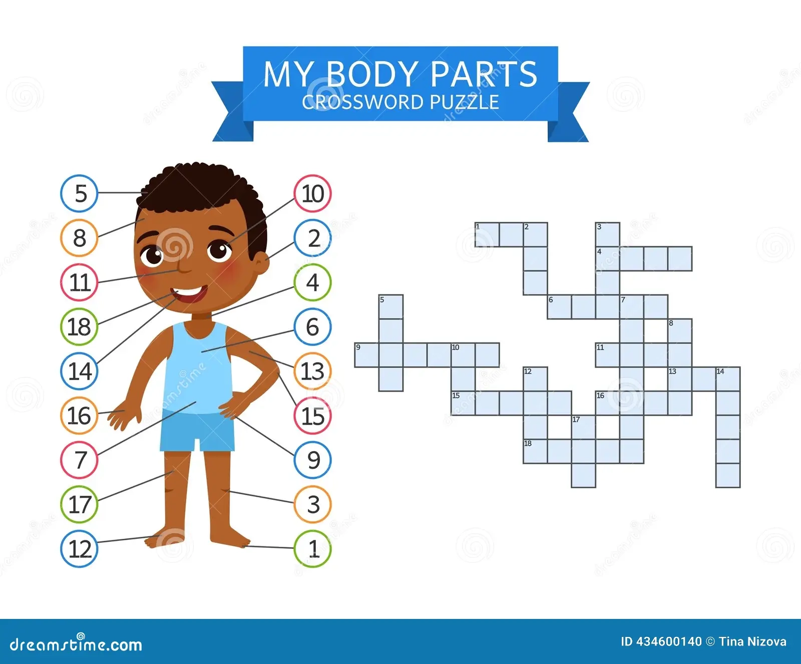 Human Body Puzzle Illustrations Vectors