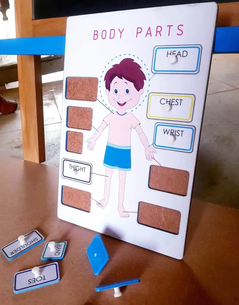 Parts Of Body Puzzle Printable Montessoriseries