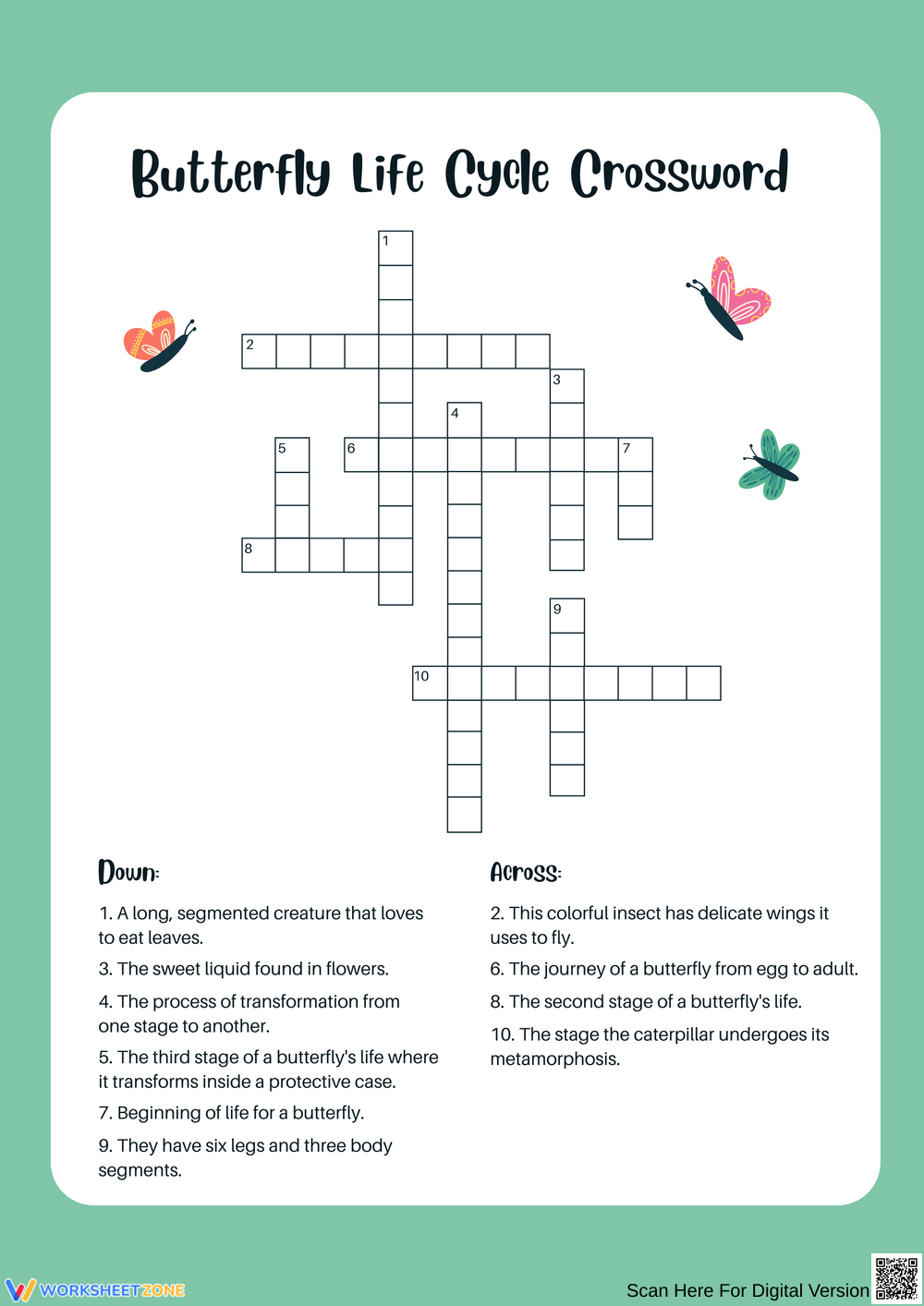 Printable 3rd Grade Easter Butterfly Life Cycle Worksheets