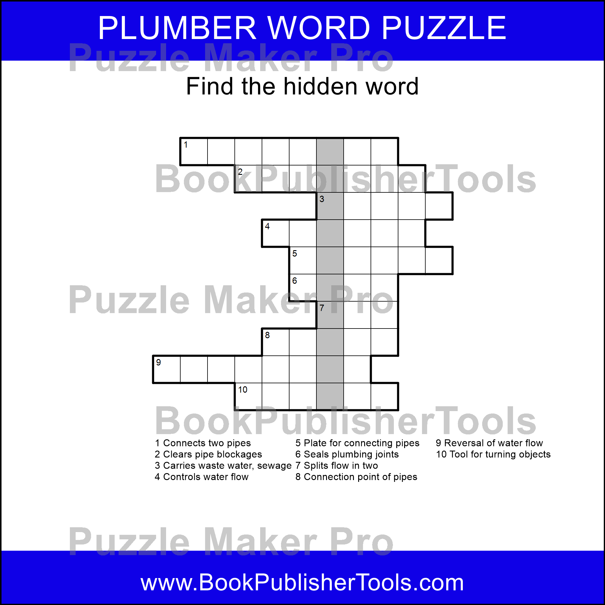 Puzzle Maker Pro Secret Word Column BookPublisherTools
