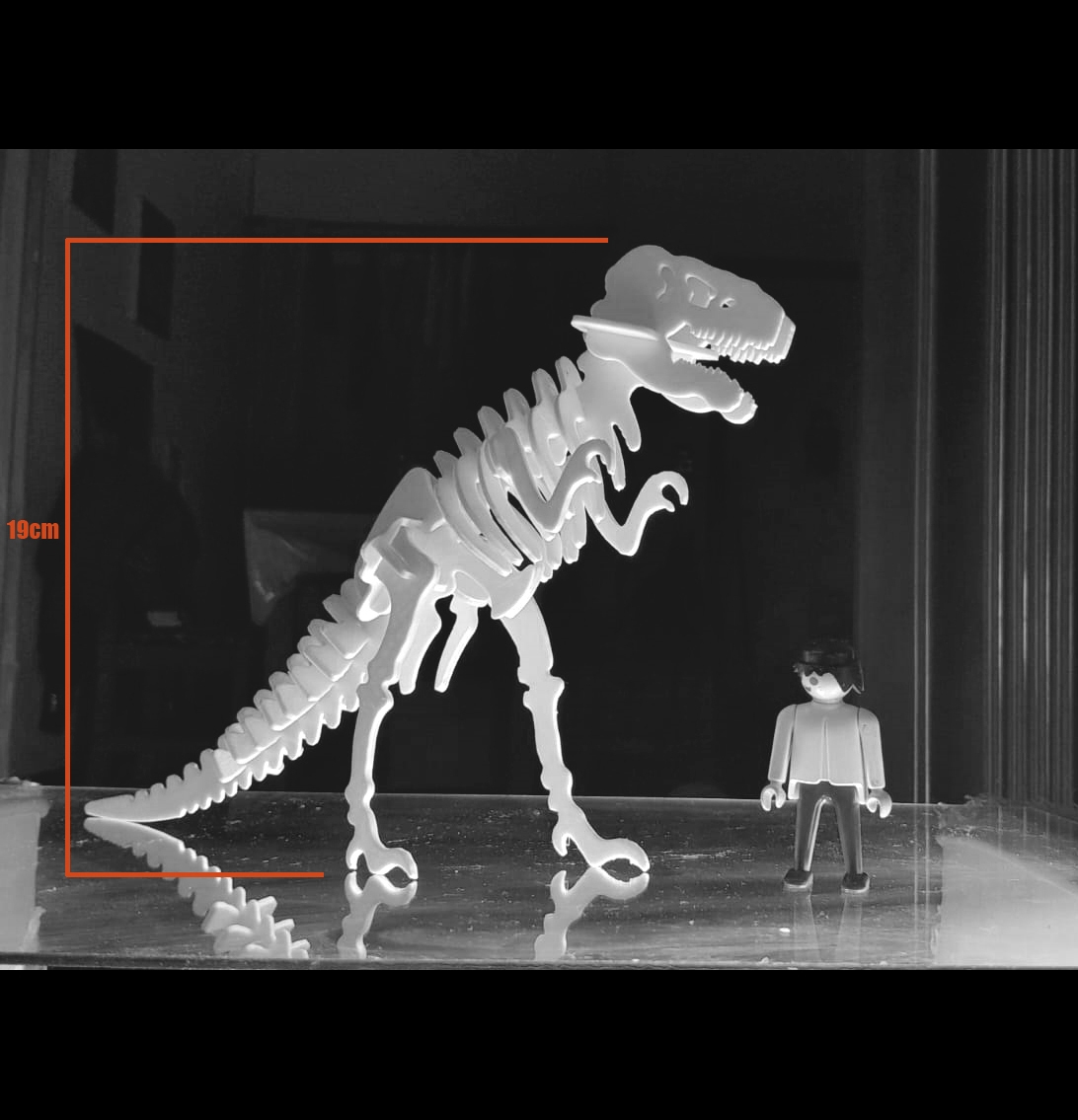 T REX 3d Puzzle Dinosaur Skeleton Printable Or Laser Cuttable Pieces 3D File For 3D Printing And CNC Machining Laser Cutting Cults