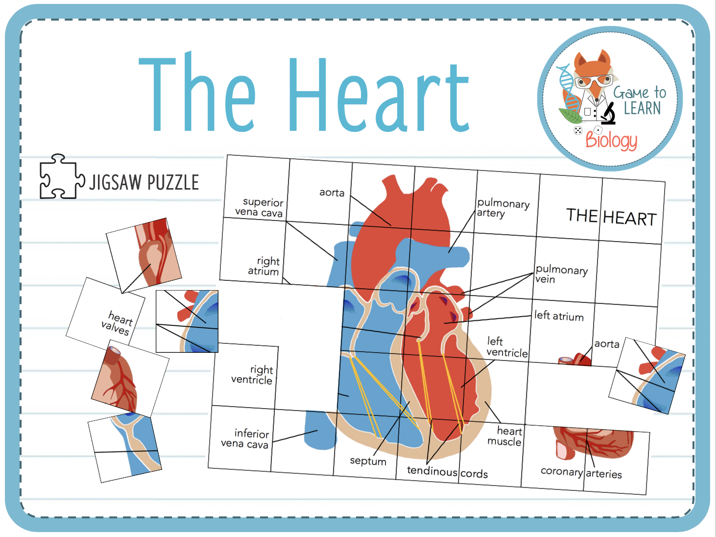 The Heart Jigsaw Puzzle KS4 Teaching Resources