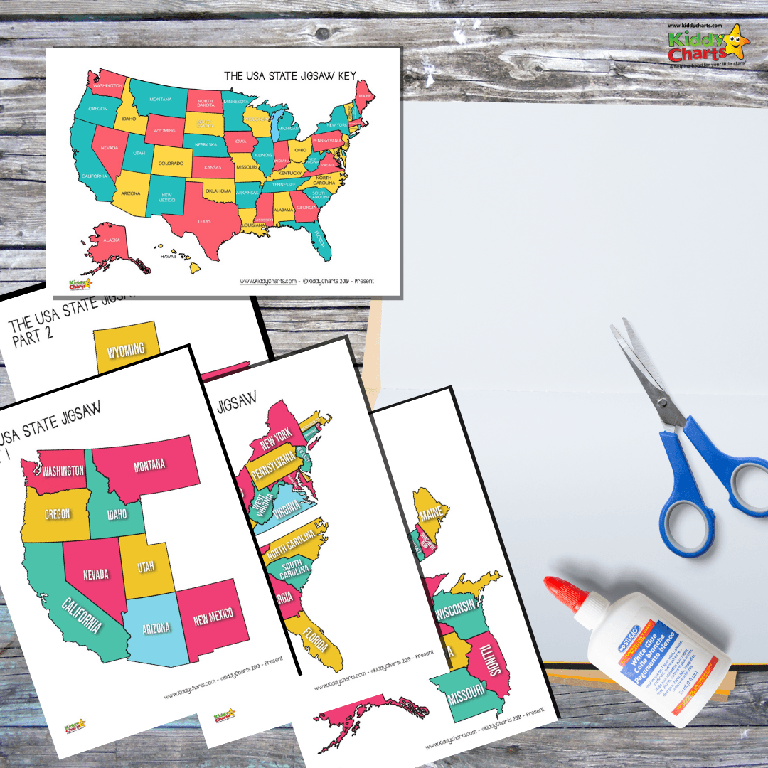 USA State Jigsaw Puzzle Free Kiddy Charts Activities
