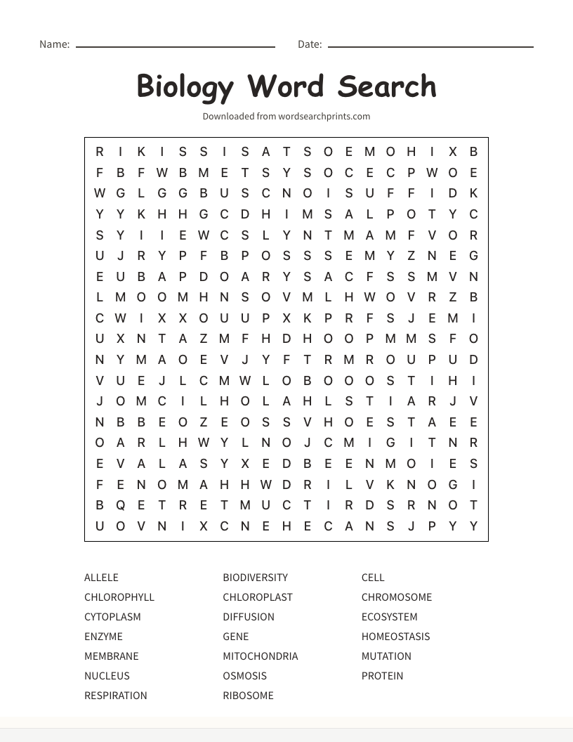 Vocabulary ESL Worksheets Printable Word Search Activities For English Learners Word Search Prints Resources